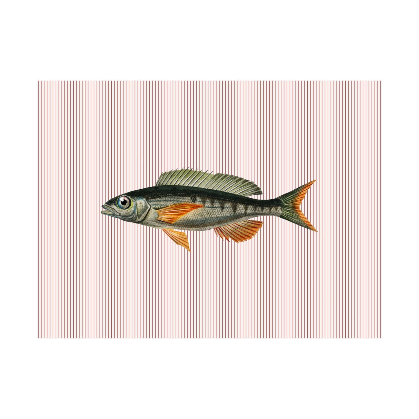 Vintage Fish Striped Poster