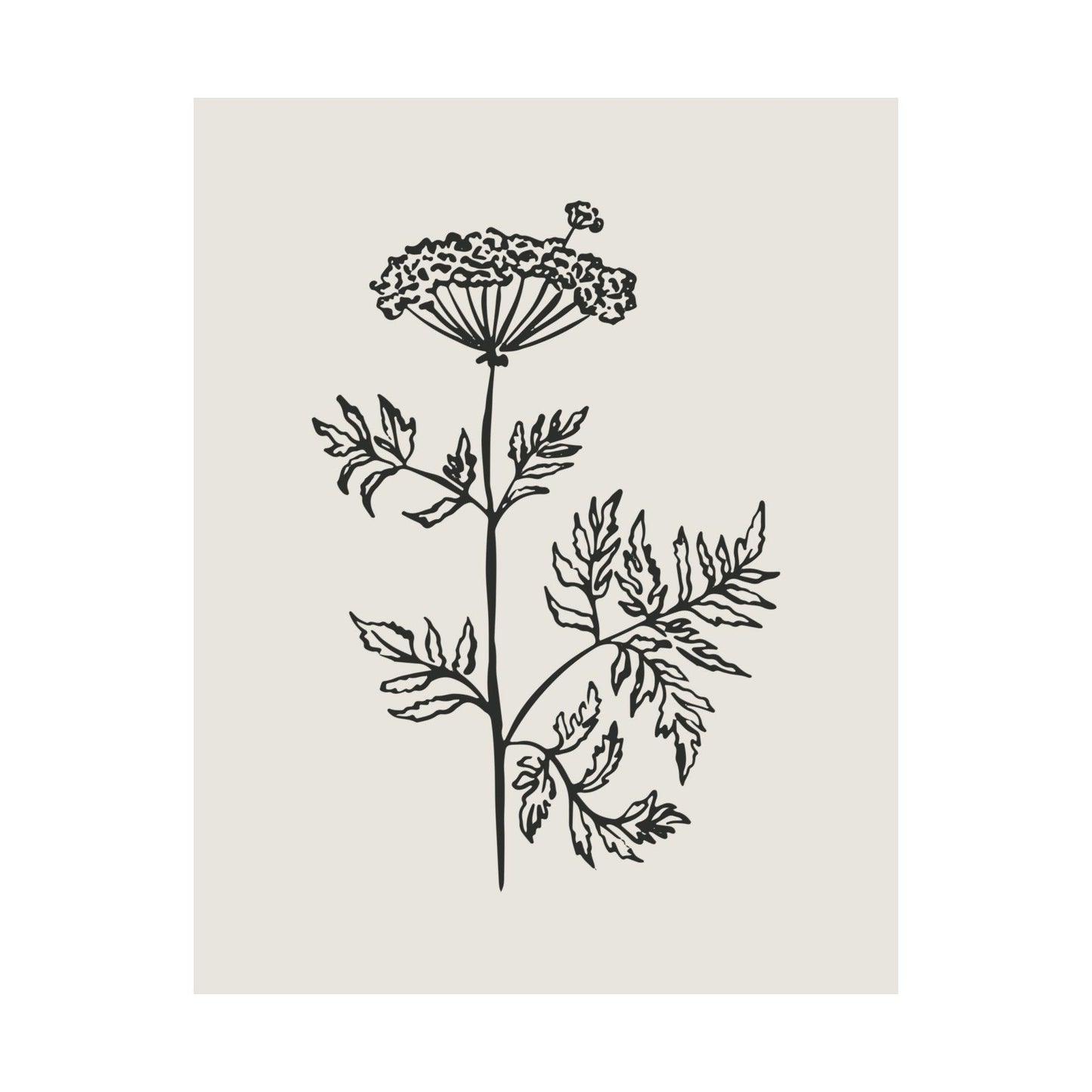 Black Fine Line Flower Poster