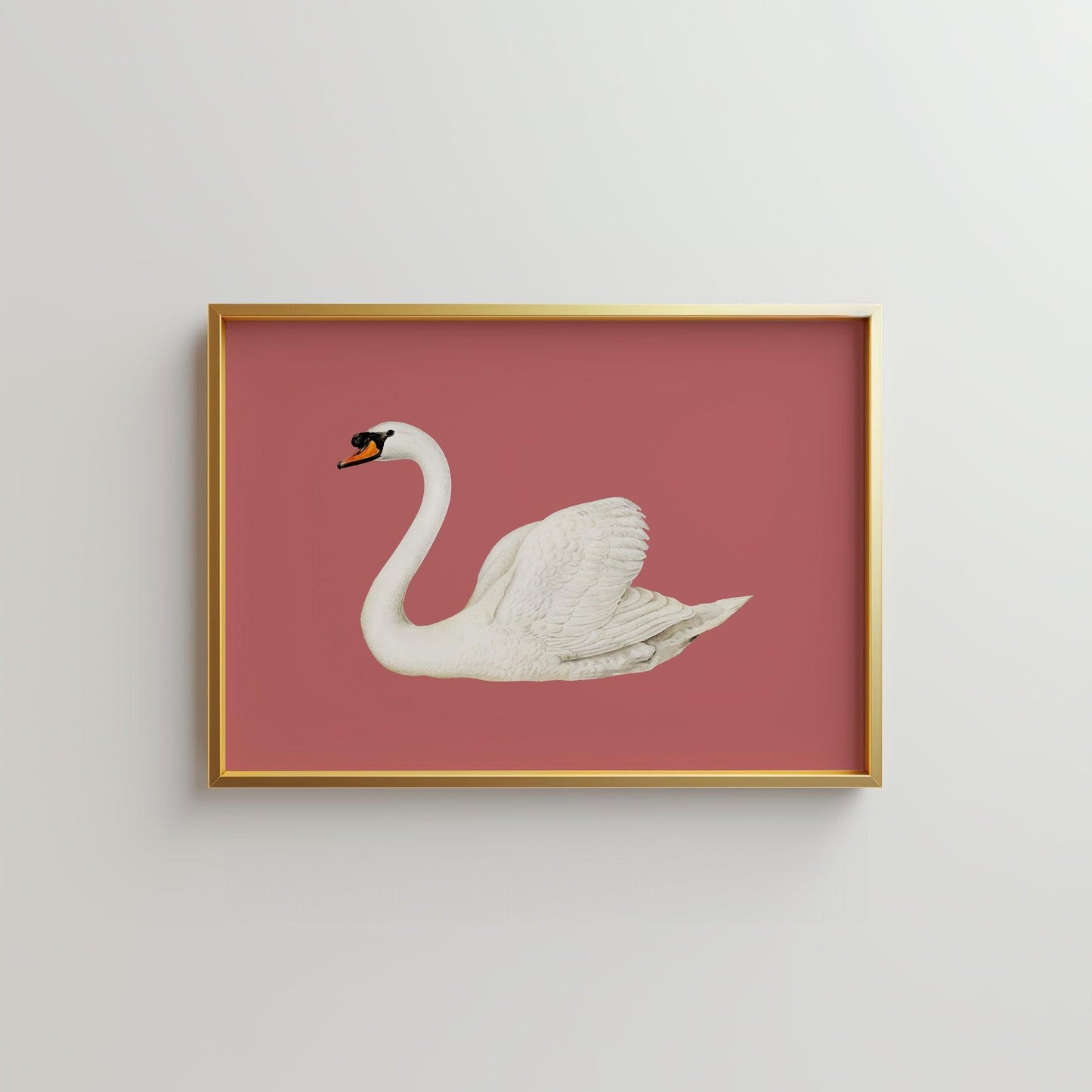 Swan Rose Vintage Poster