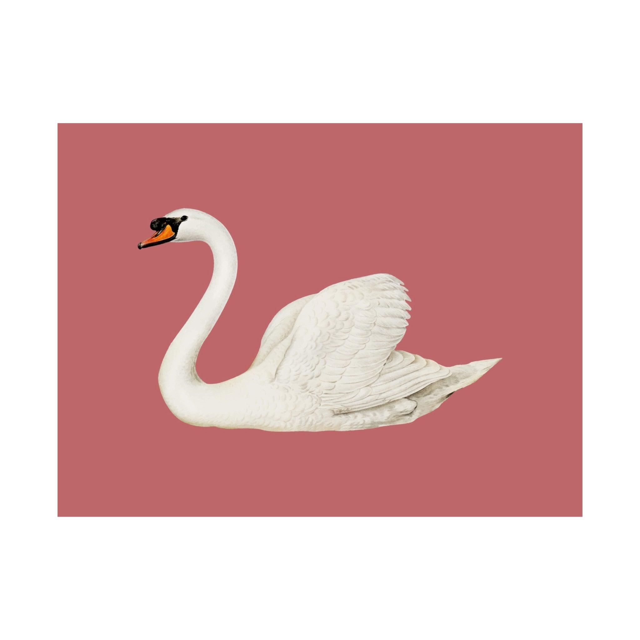 Swan Rose Vintage Poster
