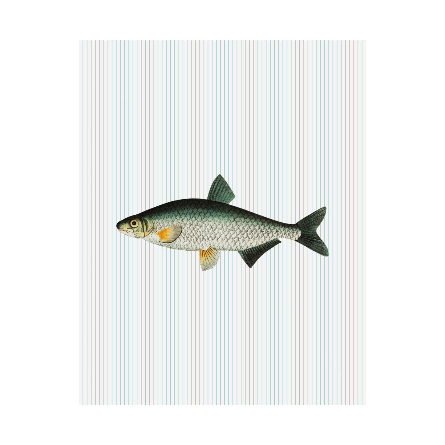 Green Fish Illustration Striped Poster