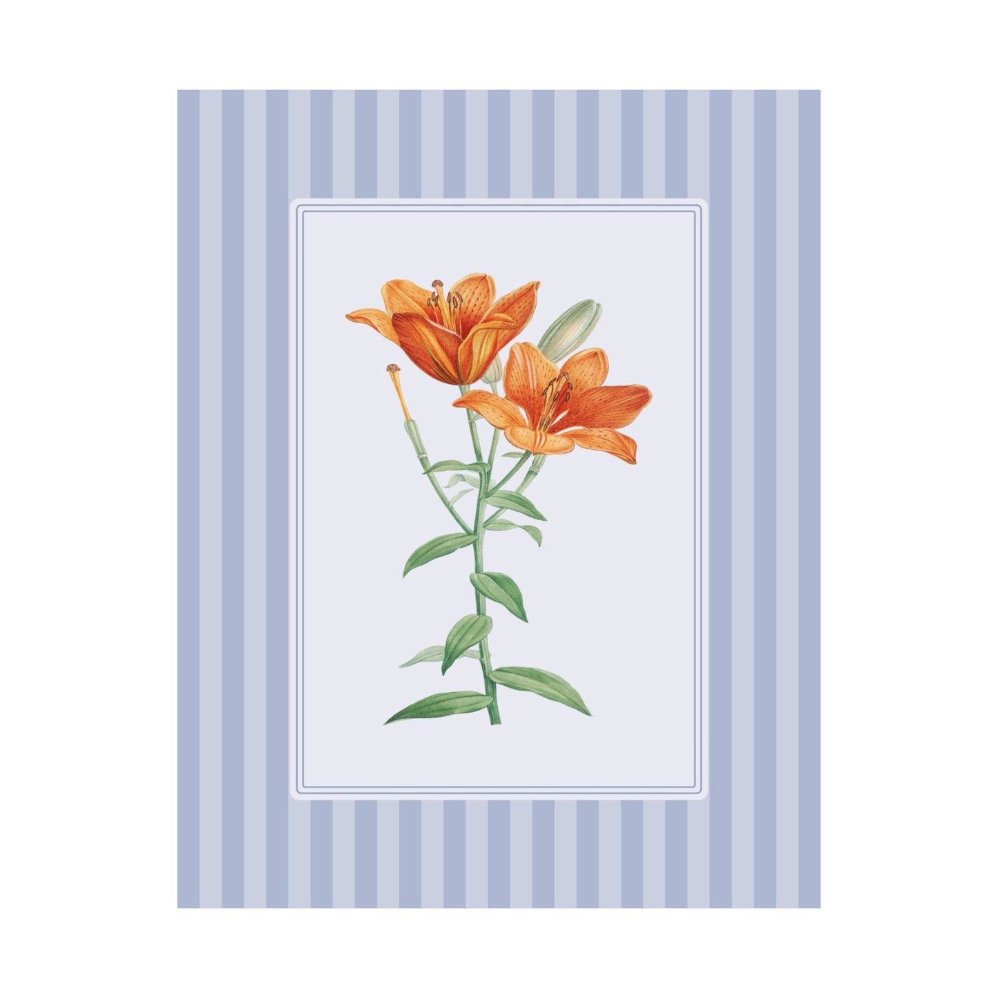 Orange Lily Vintage Botanical Poster