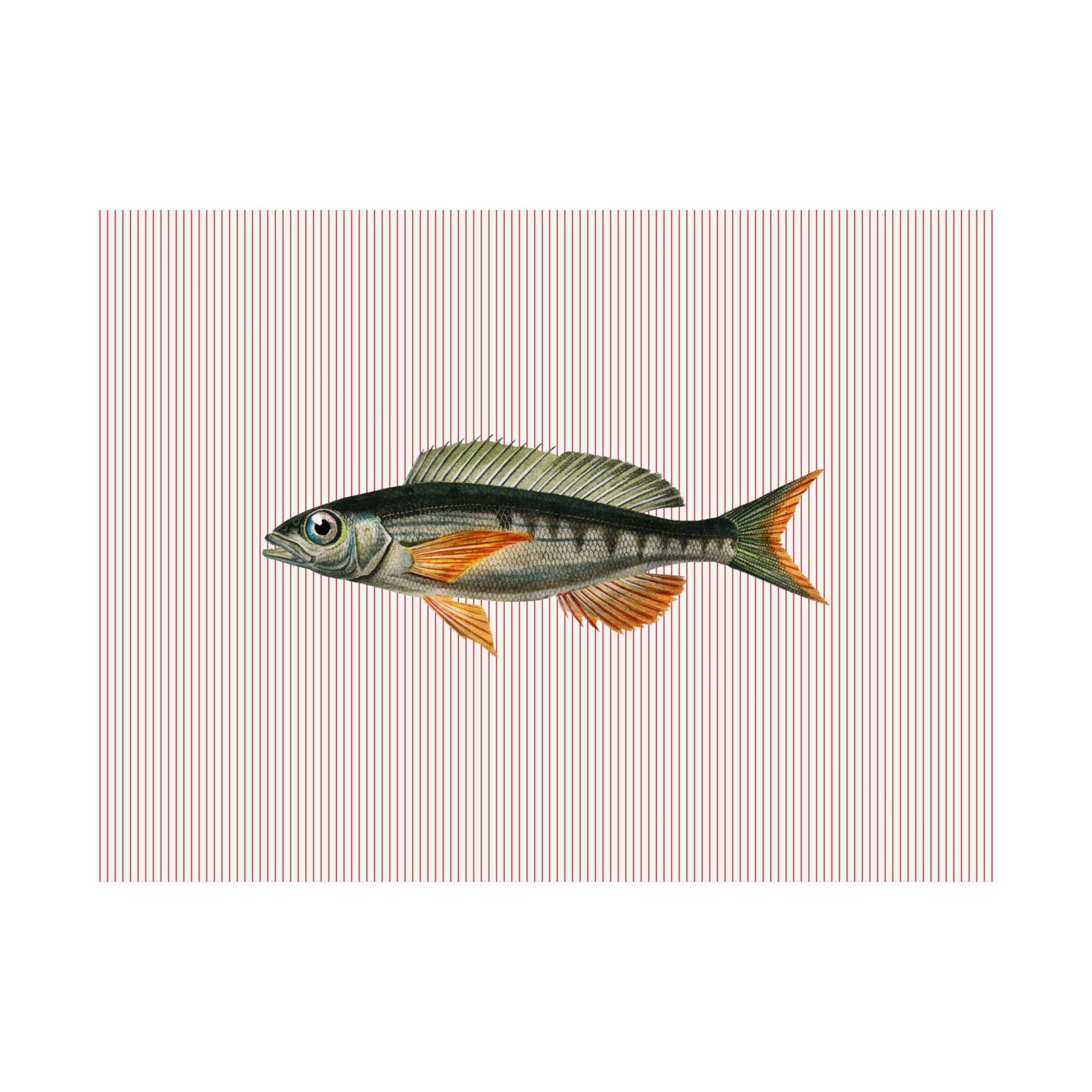 Vintage Fish Striped Poster