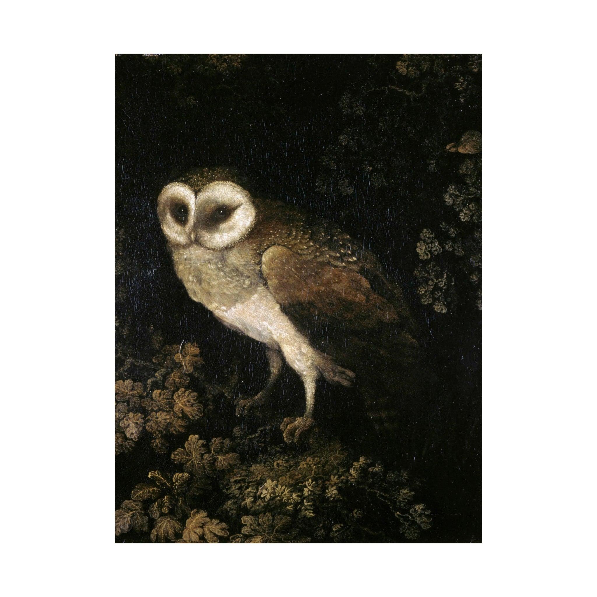Owl Vintage Poster