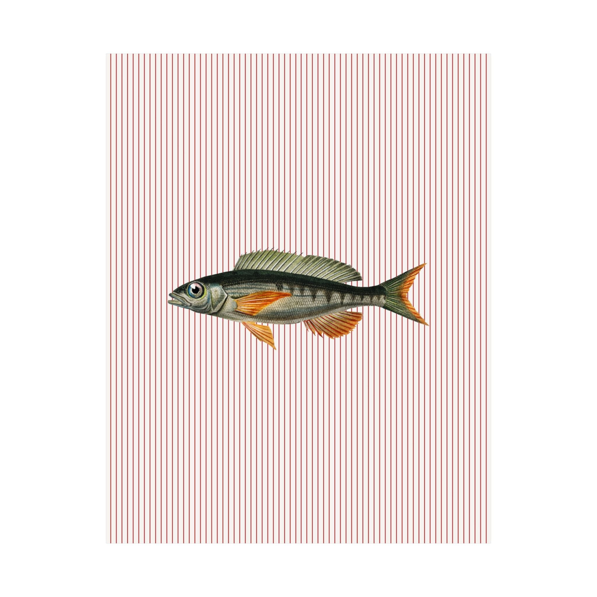 Fish Illustration Striped Poster
