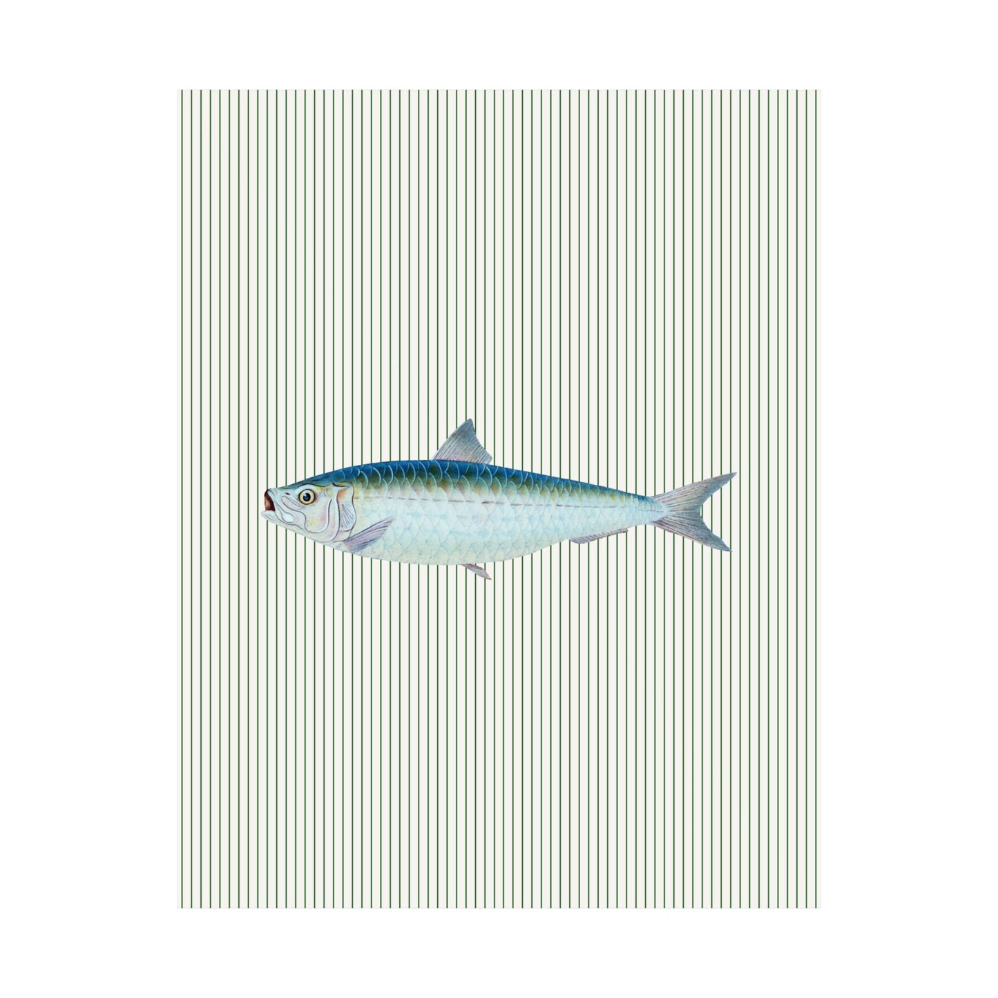 Blue Fish Illustration Striped Poster