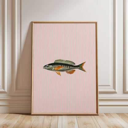 Fish Illustration Striped Poster