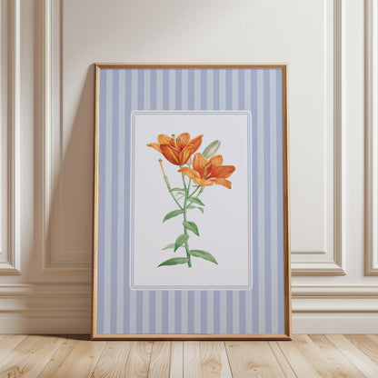 Orange Lily Vintage Botanical Poster