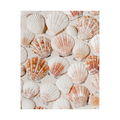 Seashell Photo Poster