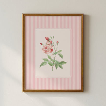 Blush Rose Vintage Poster