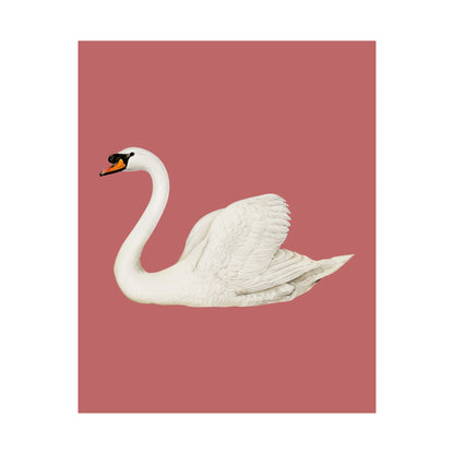Swan Rose Vintage Poster