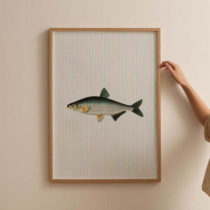 Green Fish Illustration Striped Poster