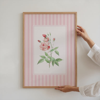 Blush Rose Vintage Poster