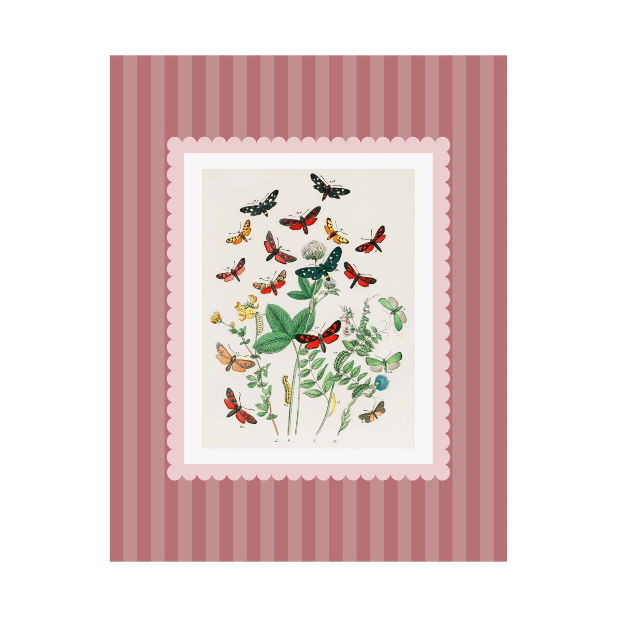 Butterflies & Wildflowers Vintage Poster