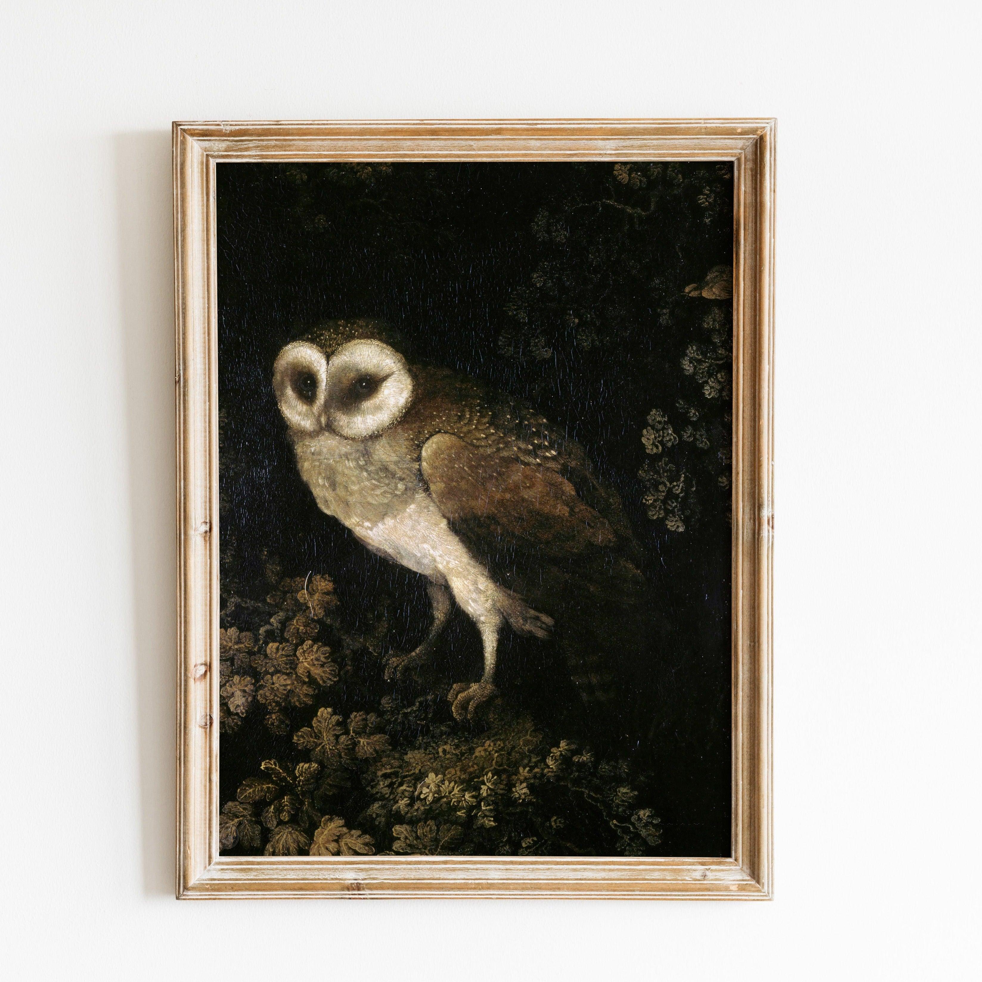 Owl Vintage Poster