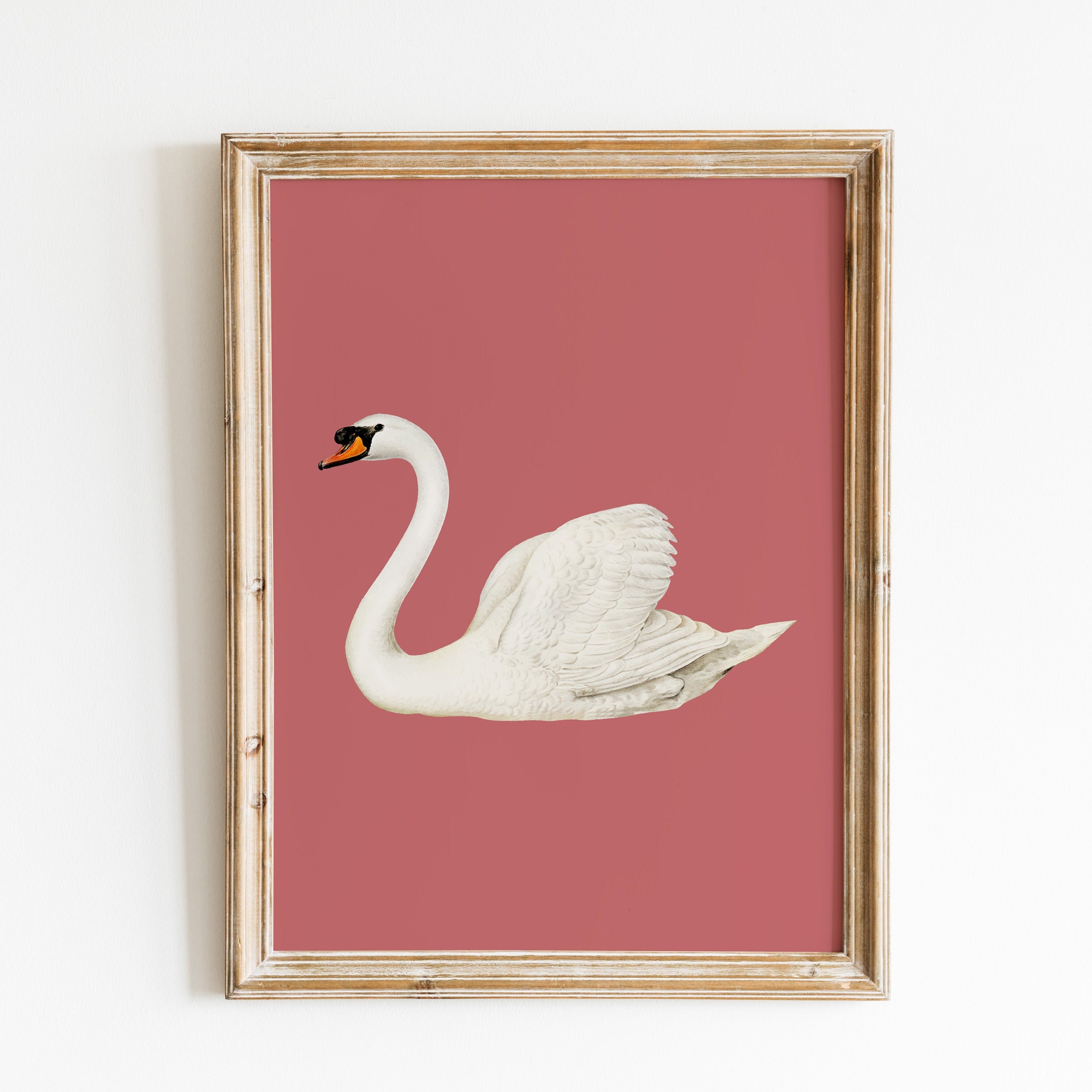 Swan Rose Vintage Poster