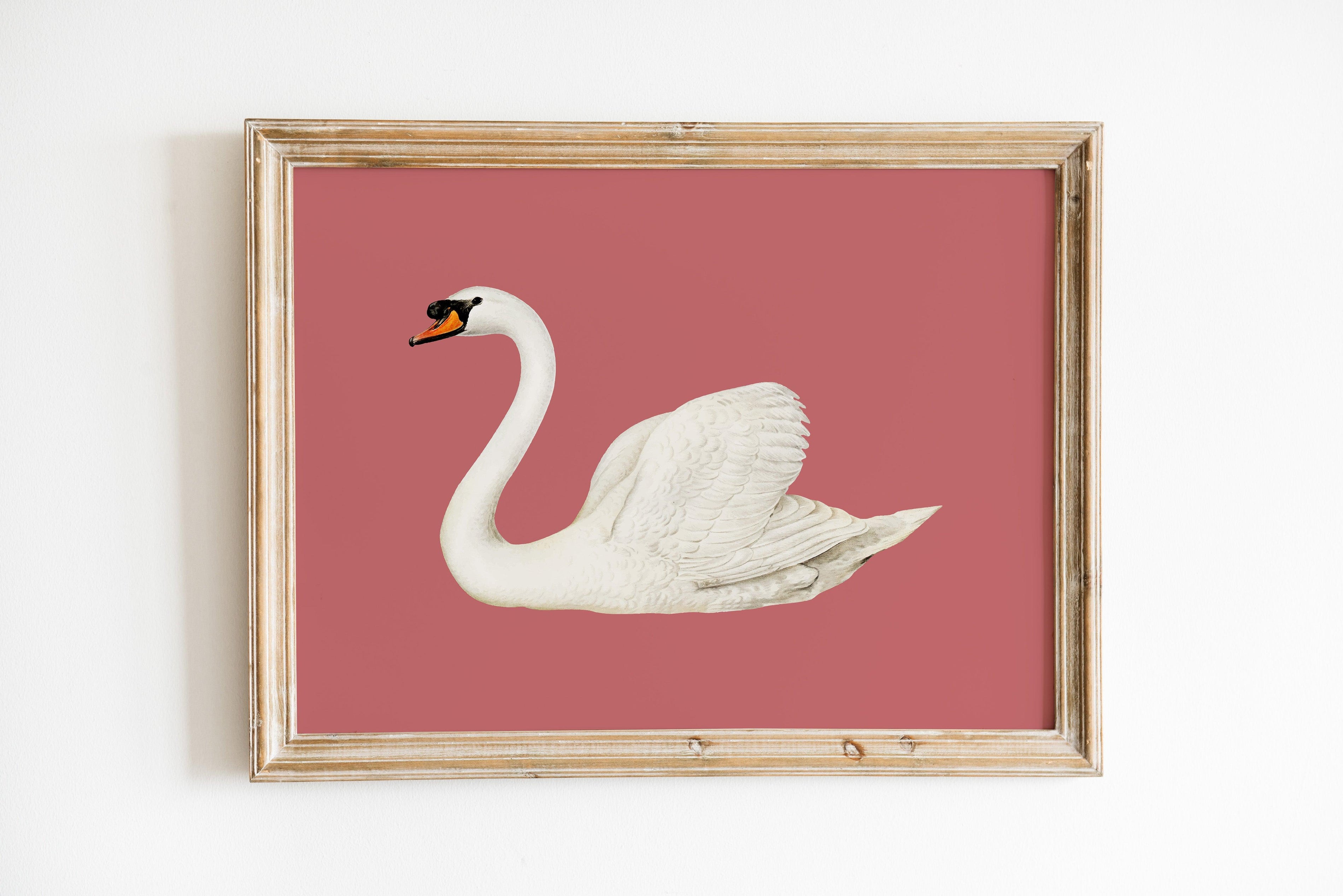 Swan Rose Vintage Poster